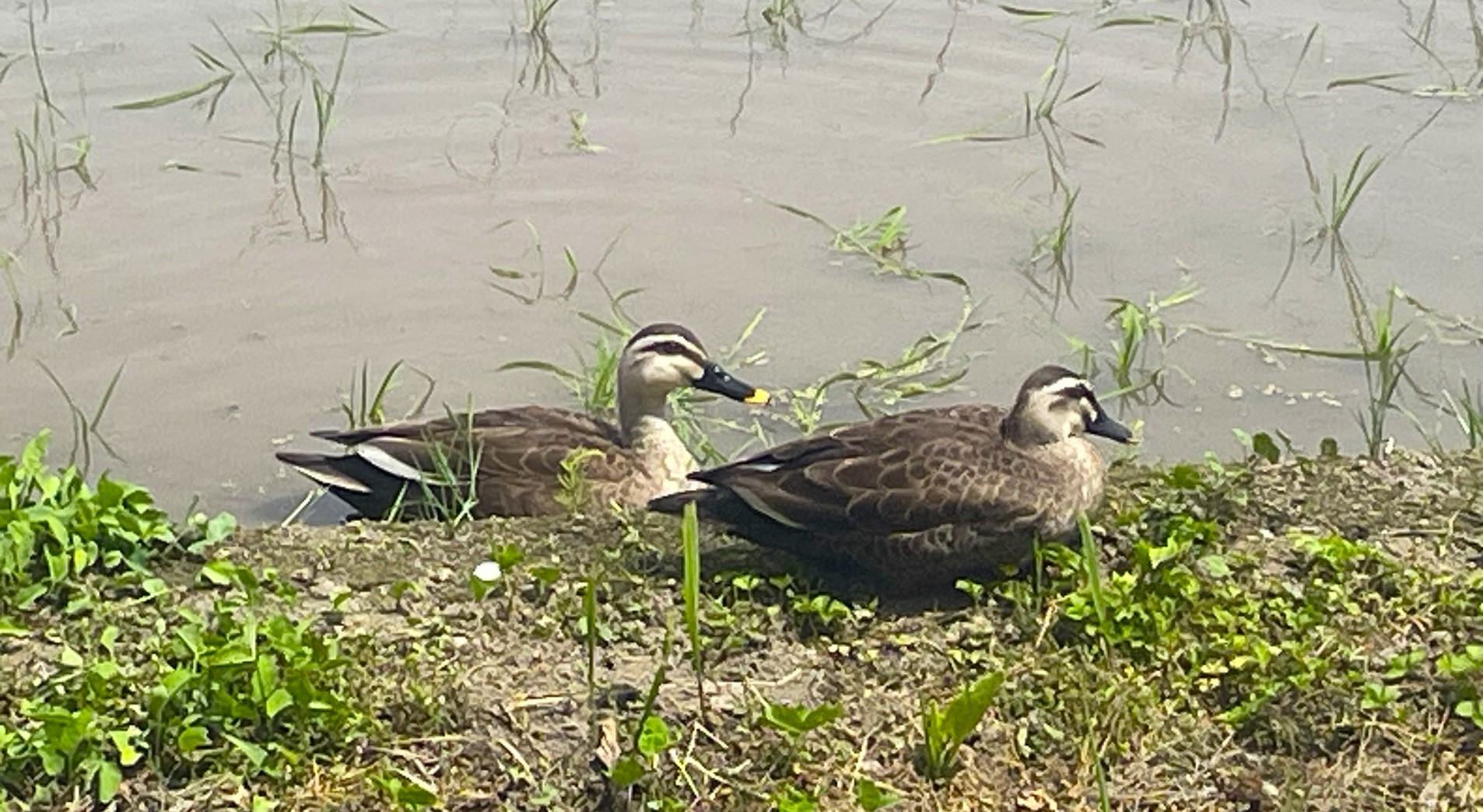 【ファミリー】免疫力アップ☆80平米/一棟丸ごと貸切・陶板浴付き貸別荘/家族旅行・ひとり旅★癒しの時