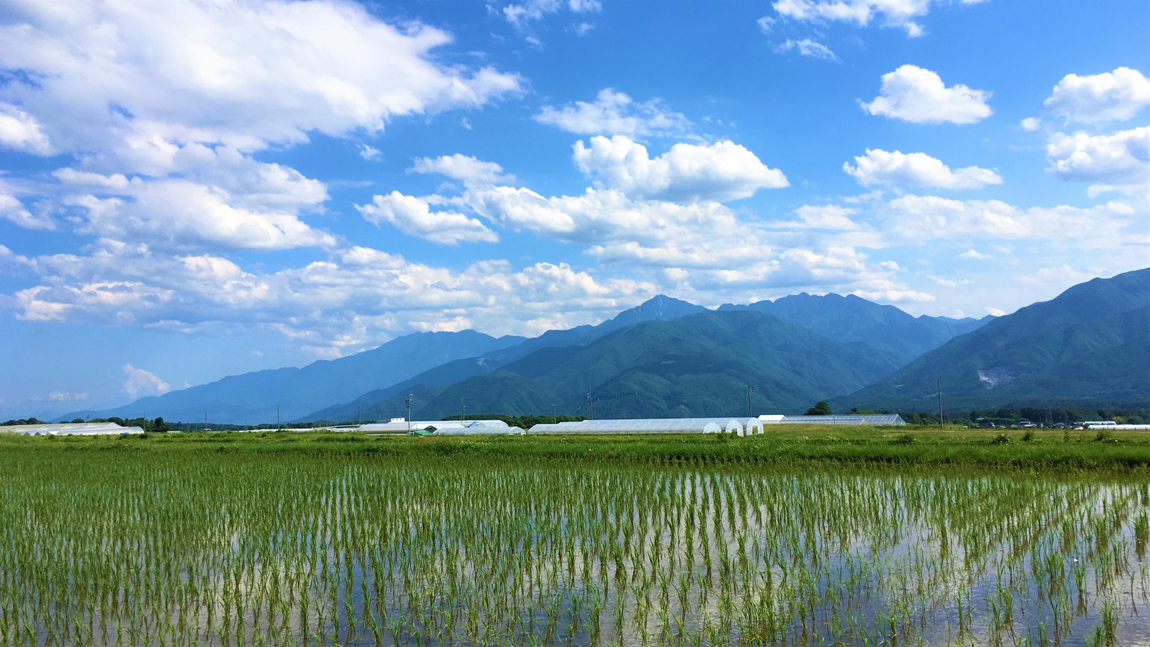 【一人旅プラン】陶板浴と豊かな自然の中の貸別荘でワーケーション一人旅♪