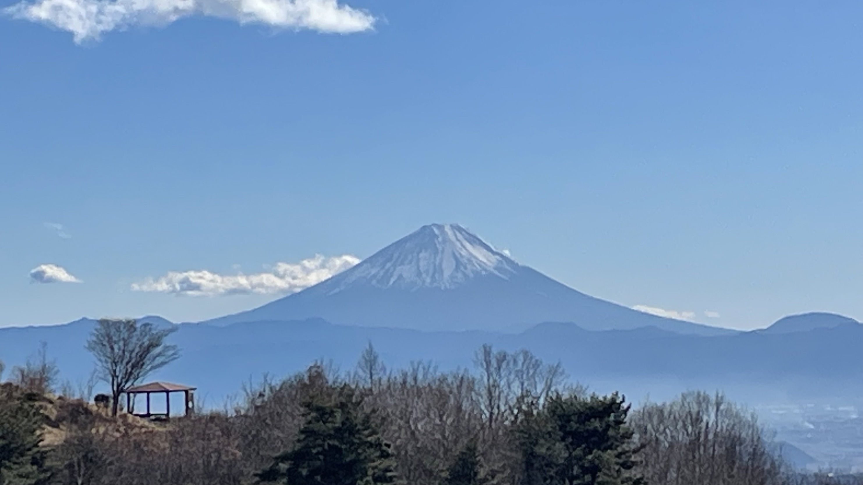 【一人旅プラン】陶板浴と豊かな自然の中の貸別荘でワーケーション一人旅♪