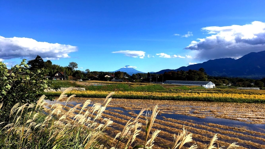 秋　富士山と田園風景
