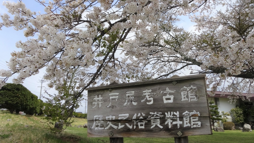 井戸尻史跡公園