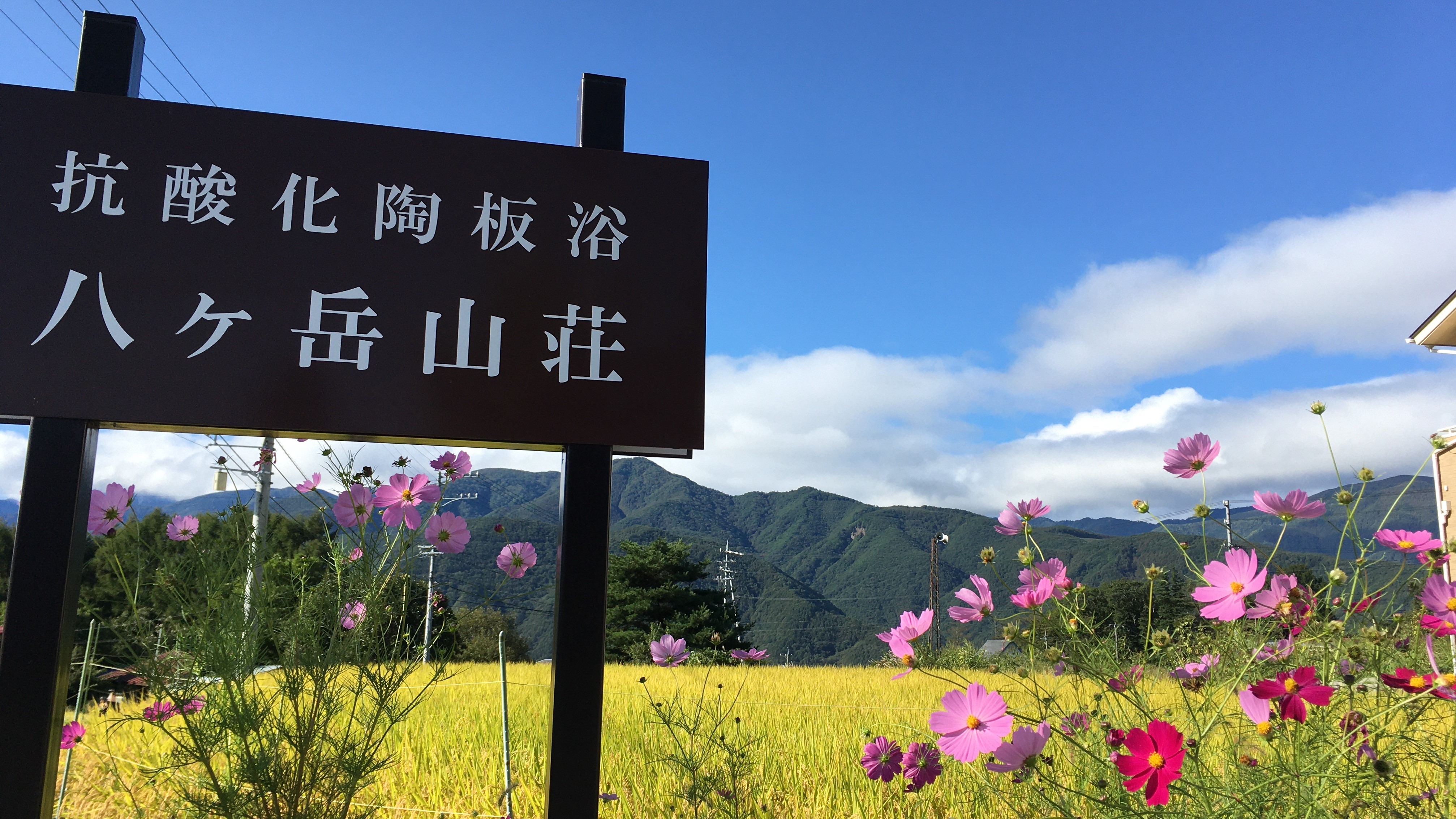 抗酸化陶板浴八ヶ岳山荘 秋の風景