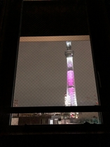 【客室からの眺望】ライトアップ～桜Ver～