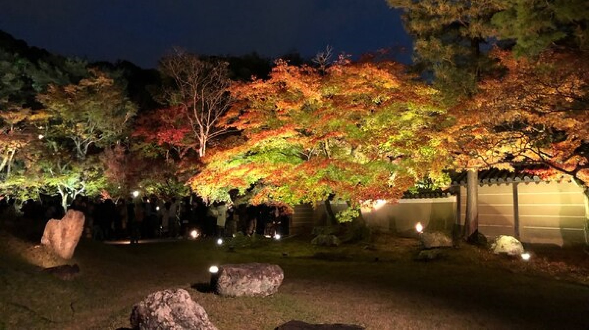 【高台寺】　ライトアップイベントが毎年行われる。光と紅葉のコントラストが絶景