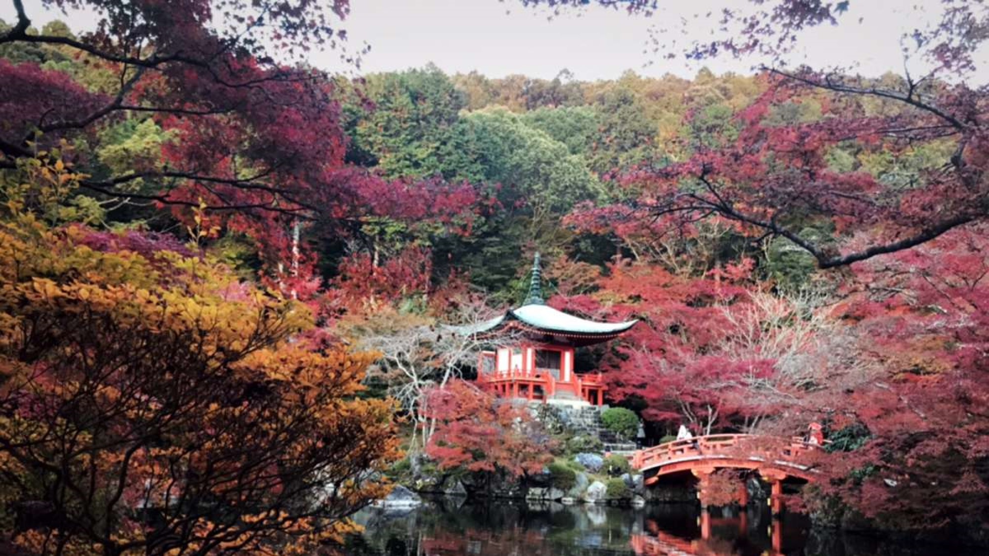 【醍醐寺】　世界遺産にも登録されている四季が美しいお寺