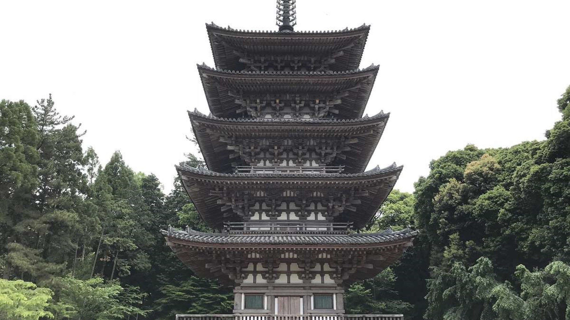 【五重塔】　醍醐寺にある「五重塔」は高さ55ｍ！木造の建造物として日本一の高さ！