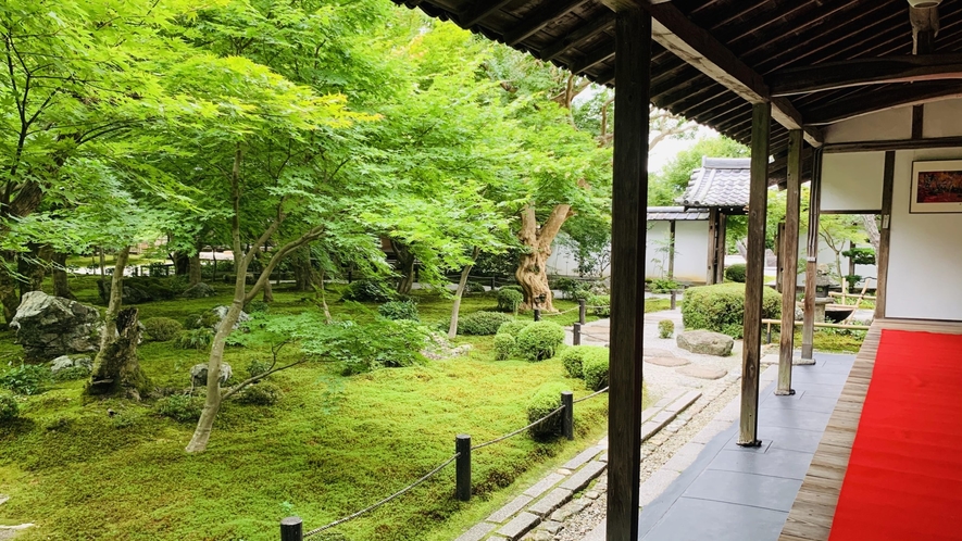 【圓光寺】　臨済宗南禅寺派の寺院。「花の生涯」のヒロインで知られる村山たかのお墓があります。