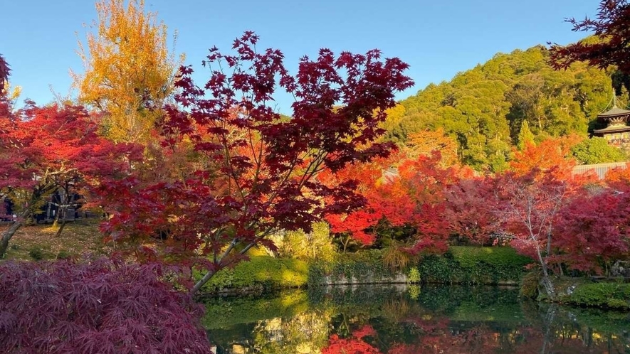 【永観堂 禅林寺】　京都の紅葉の名所といえばここ。「もみじの永観堂」