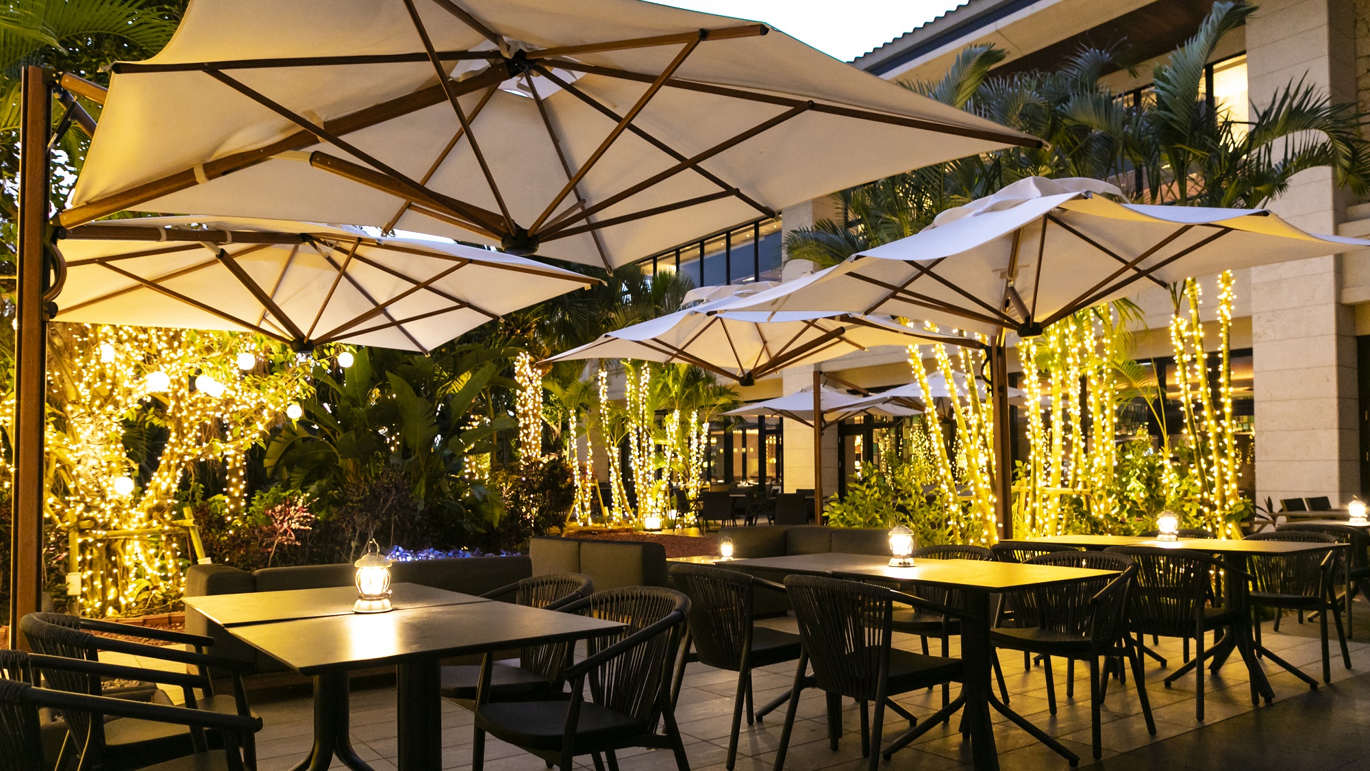 イルミネーション ガーデン