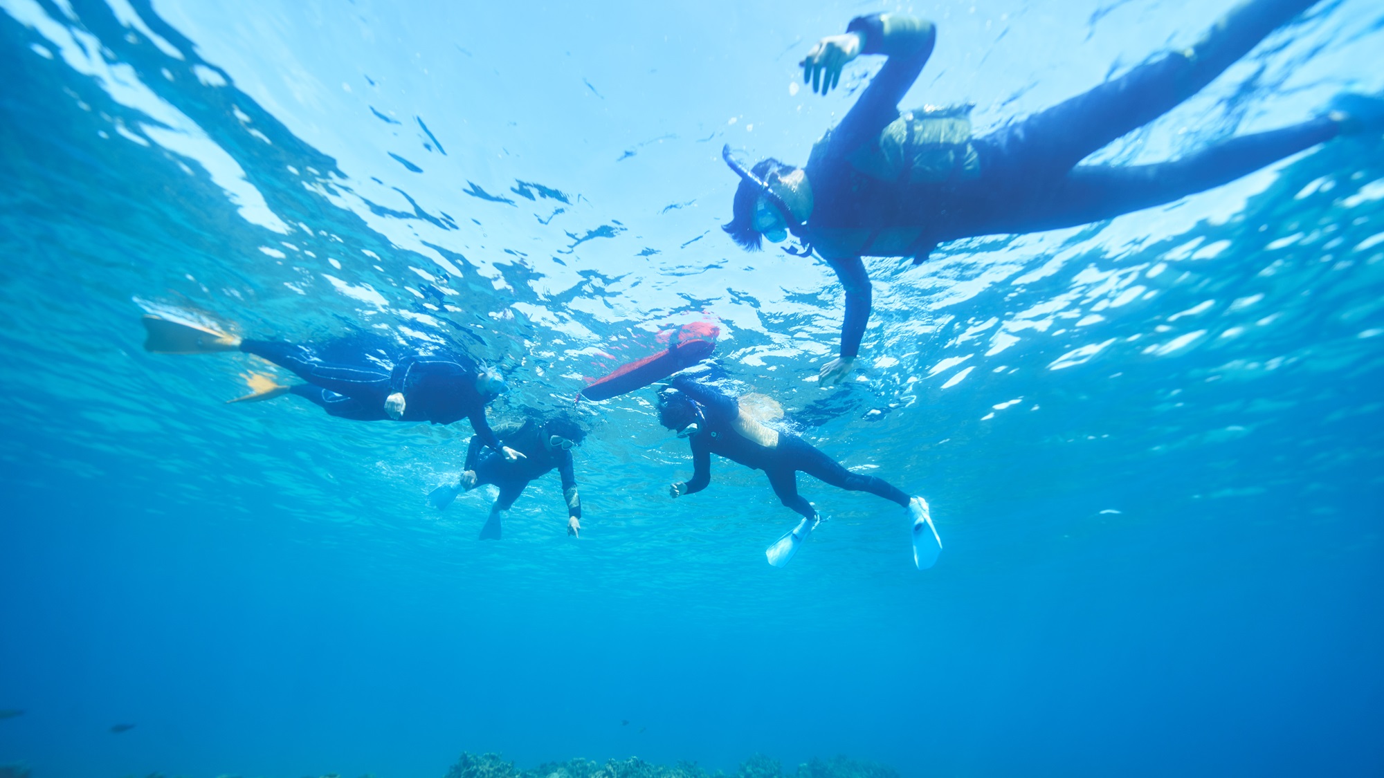 【マリンアクティビティ】透明度の高い瀬良垣アイランドの海へ冒険の旅に出かけましょう。