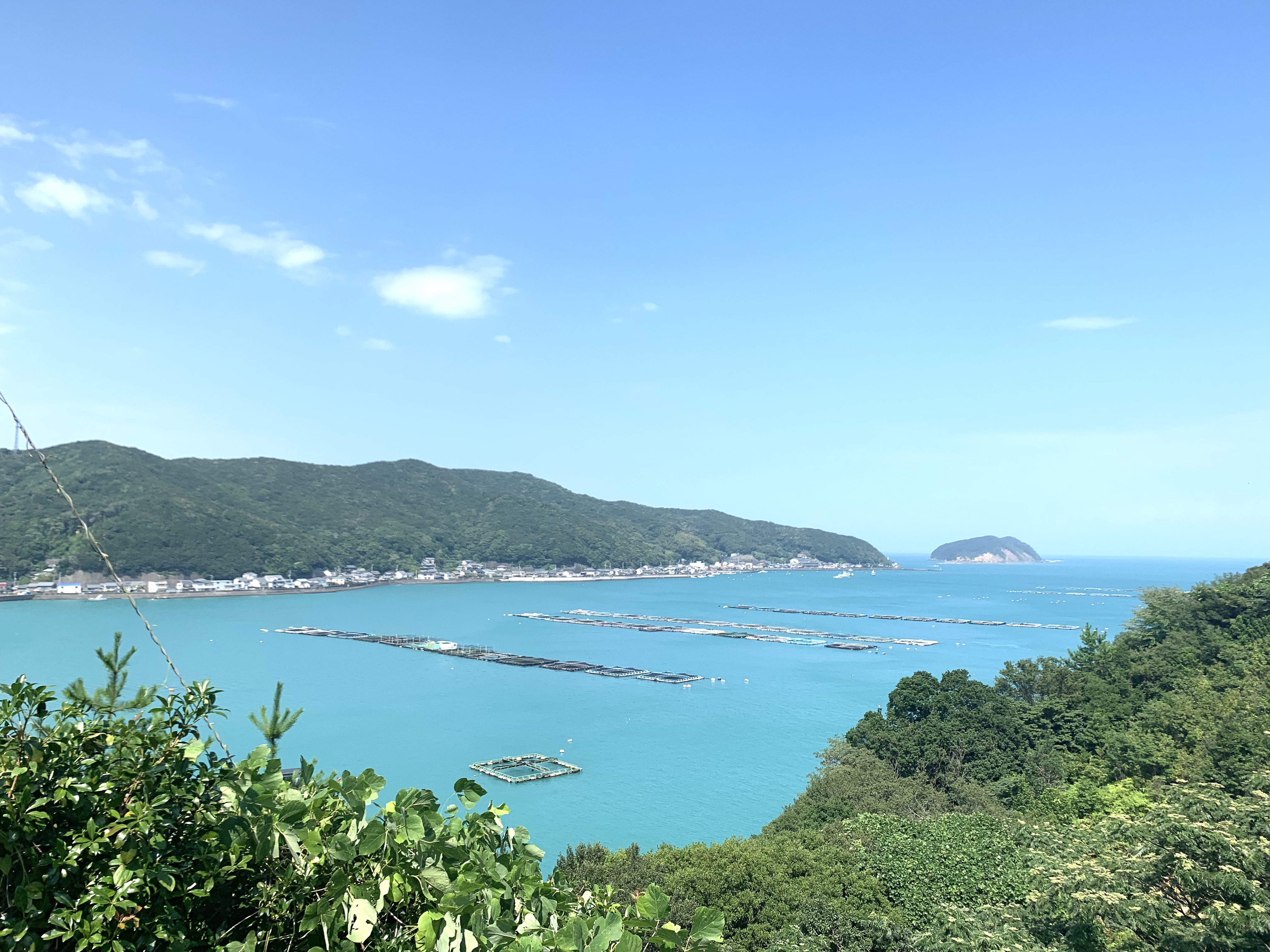 椿ハウス(眺望・庭園)