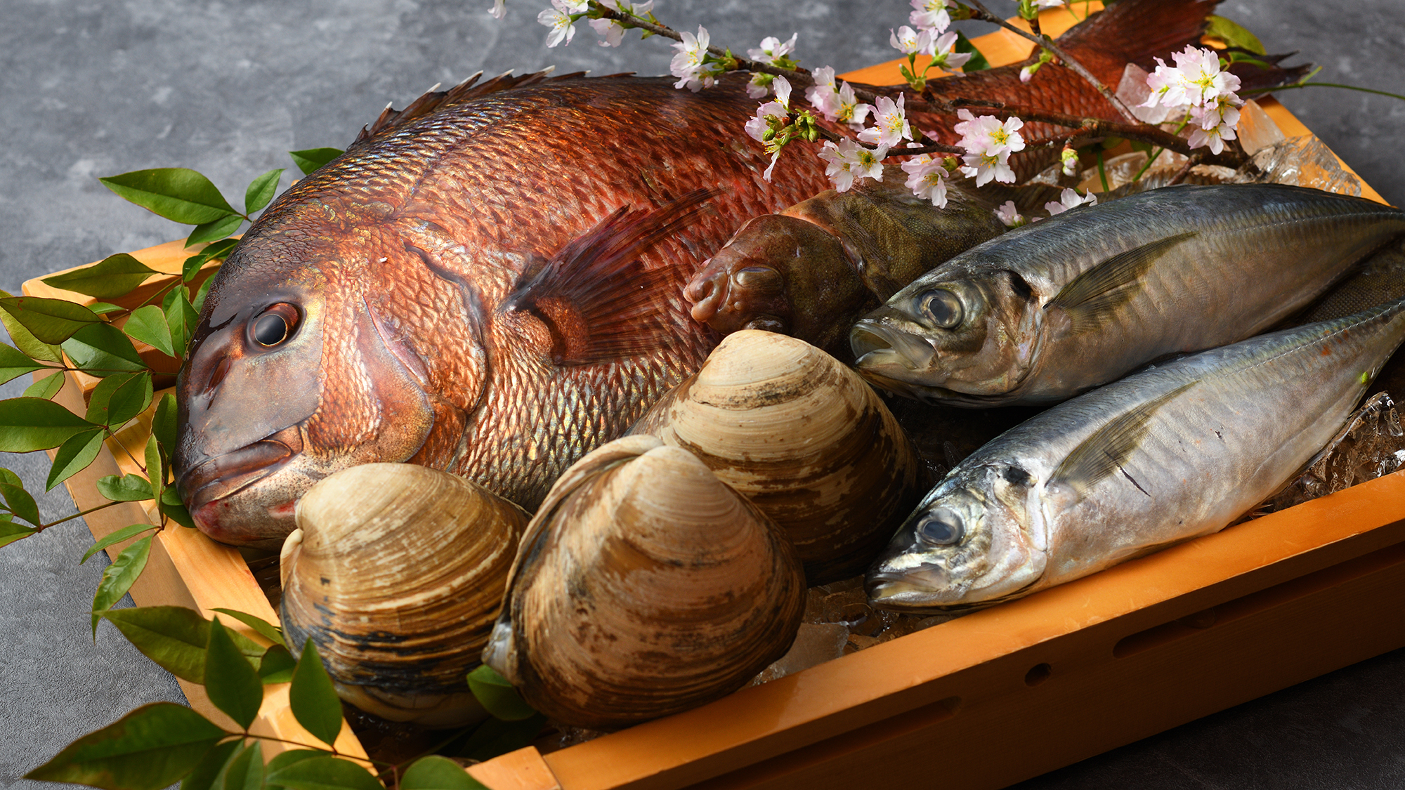 目利きが選び抜いた旬の魚介。その時期でしか味わえない味を大切に、一皿ずつ丁寧に仕立てています。