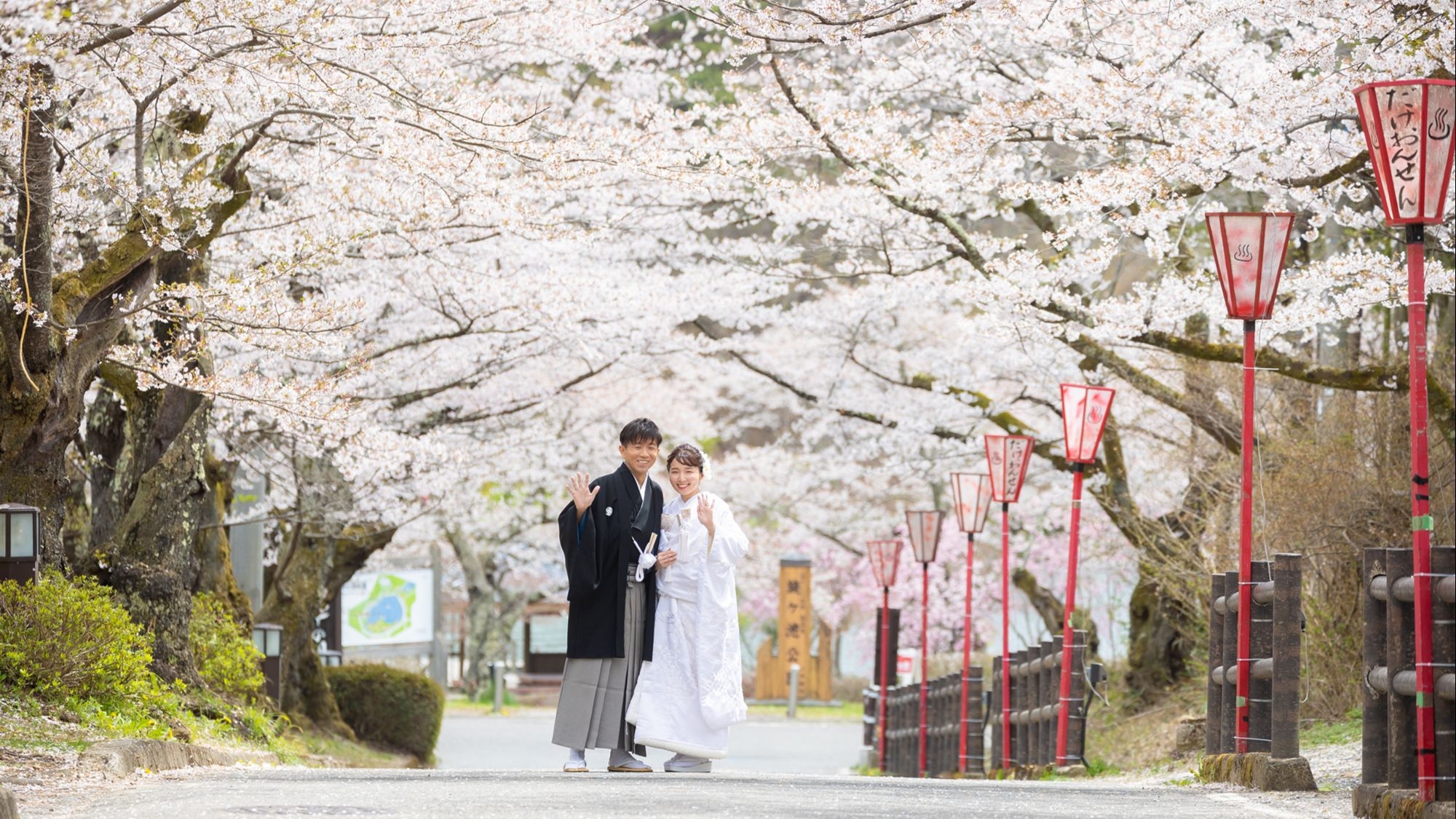 【見頃は4月上旬〜中旬】岳温泉街の桜坂や二本松市内の桜の名所を巡ろう【お花見プラン・1泊2食付】