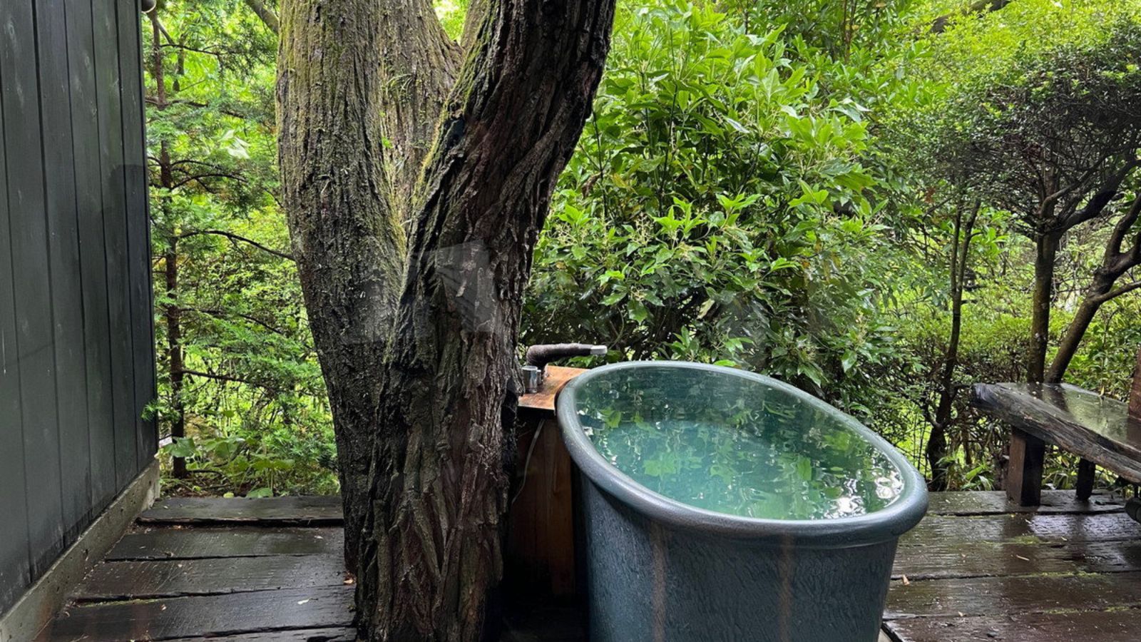 【露天風呂付き】洋室ツイン＜フォレストビュー＞10畳＋広縁