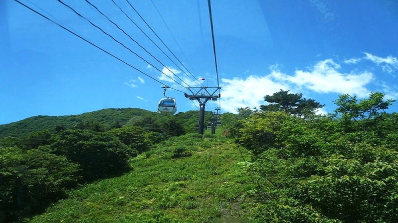 10分間の緑の空中散策♪