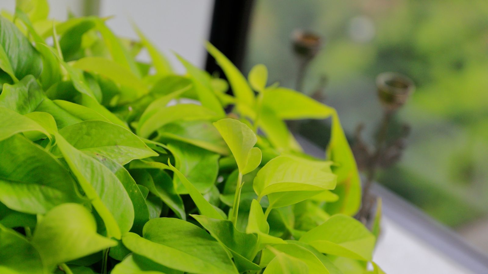 プチホテル館内