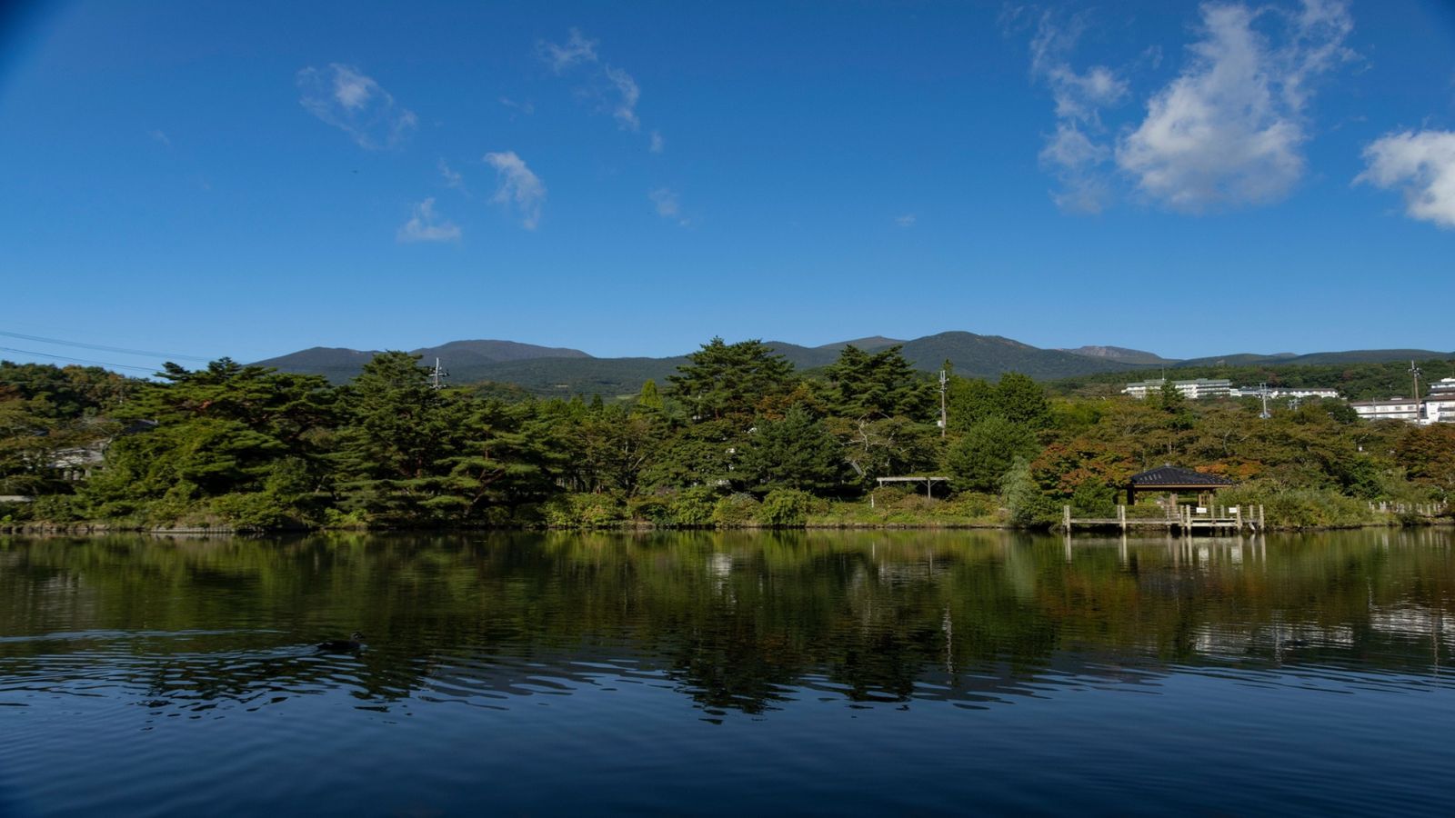 徒歩5分で鏡ヶ池。お散歩コースに最適です♪