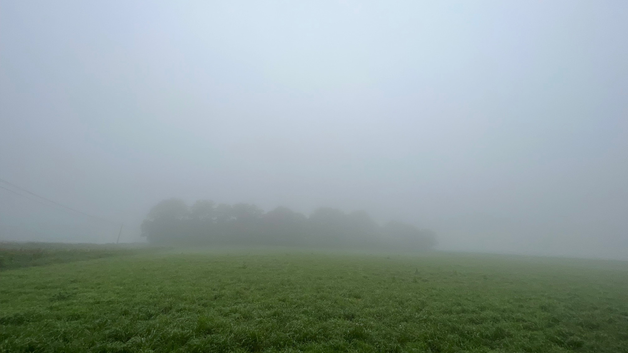 霧の中の幻想的な空の庭
