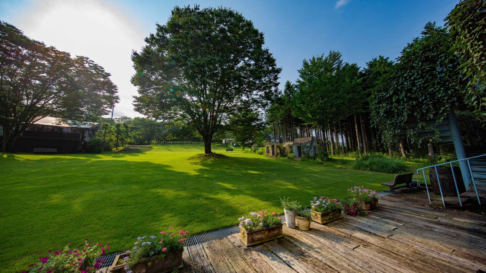 レストランからの庭の風景