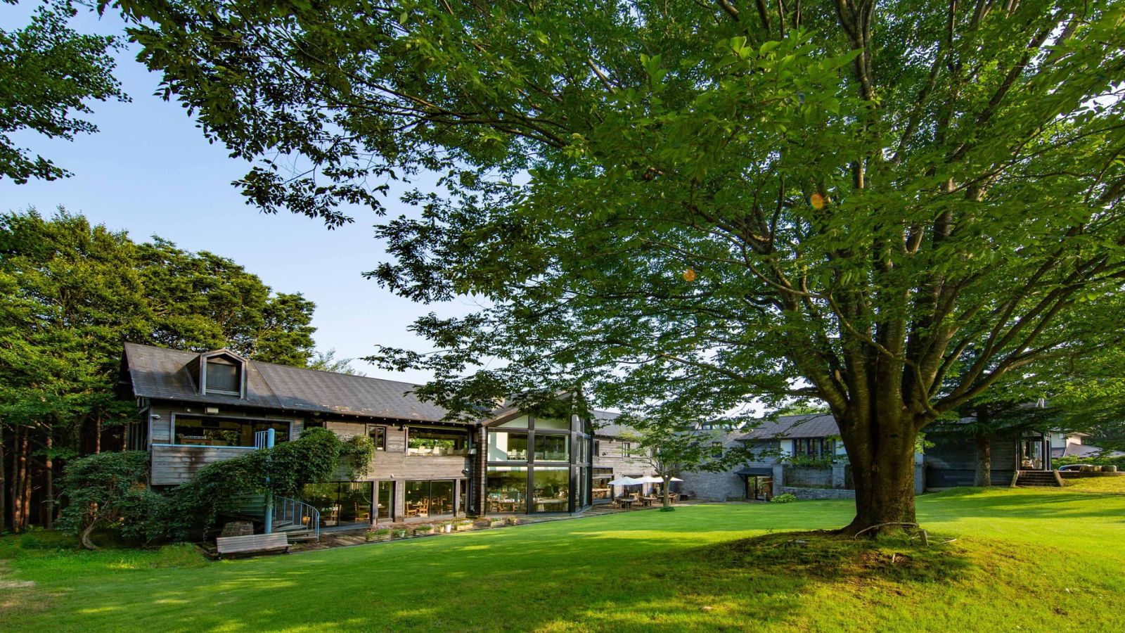 緑の芝生のガーデンと大きなケヤキのシンボルツリー