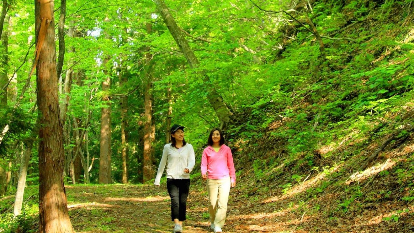 ひのきの山散策コース
