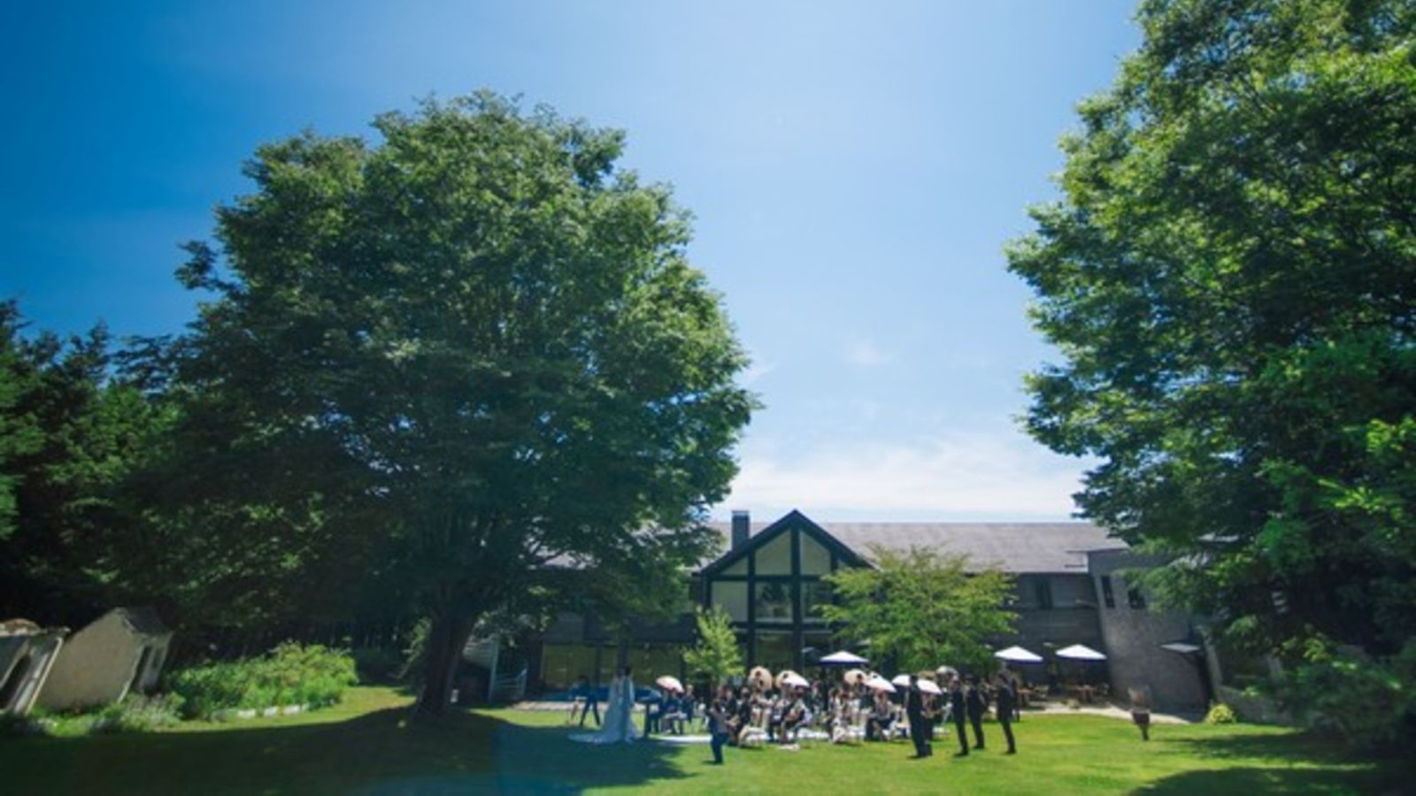 鮮やかな緑がお出迎え♪