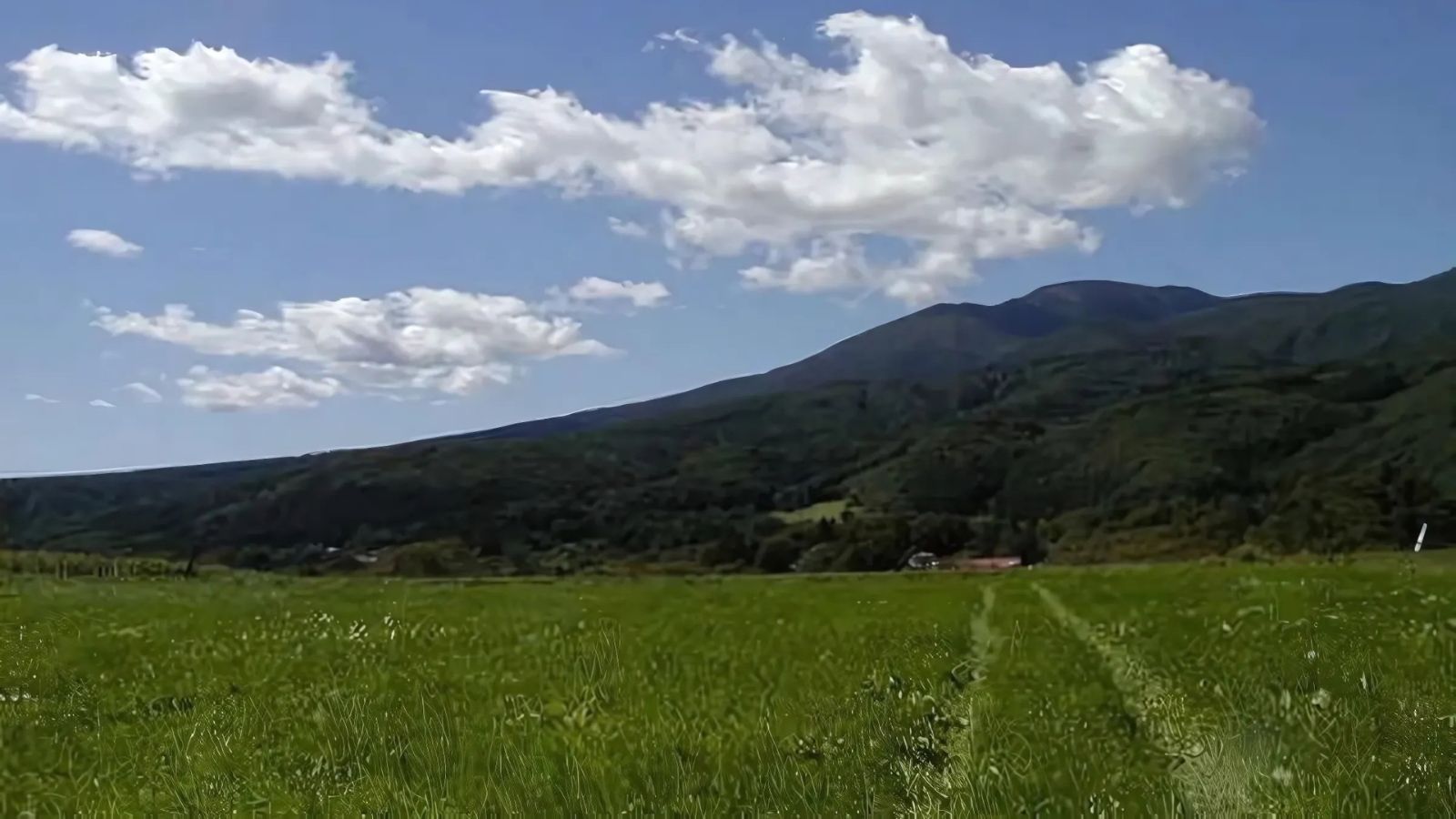 自然豊かなあただら高原