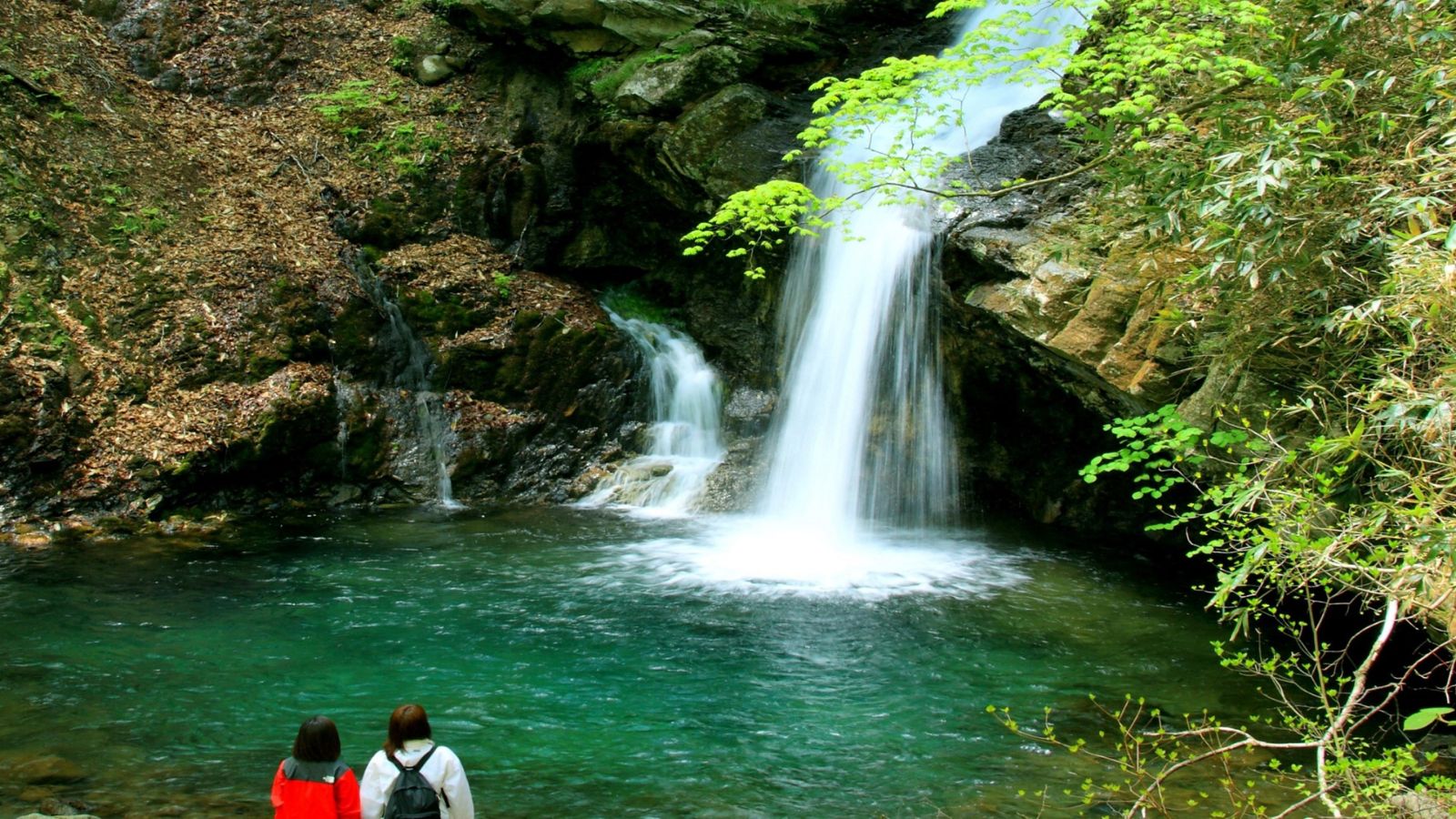 マイナスイオンたっぷり「魚止滝」
