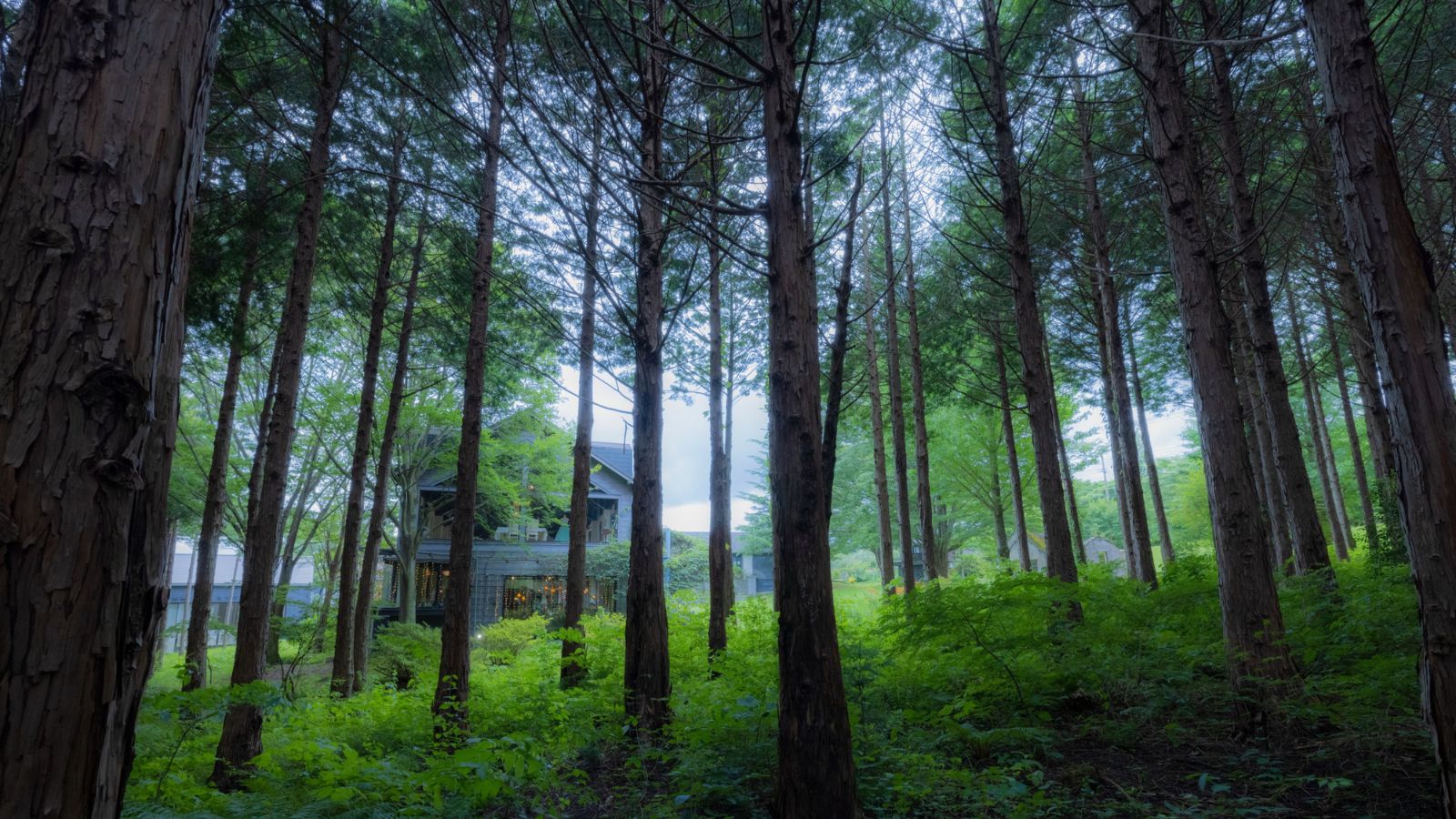 レストラン外観