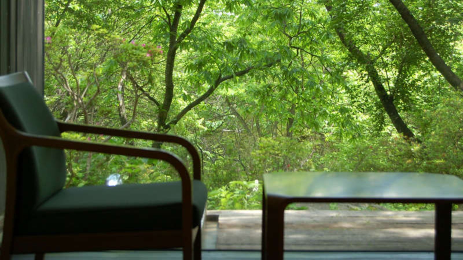 【露天風呂付き】洋室ツイン＜フォレストビュー＞10畳＋広縁