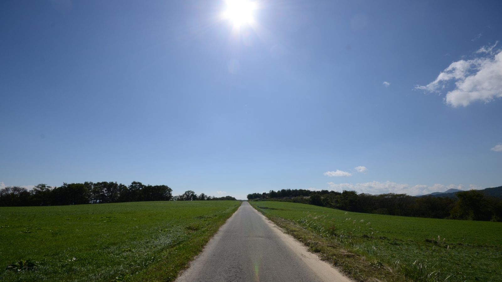 大草原でリフレッシュ