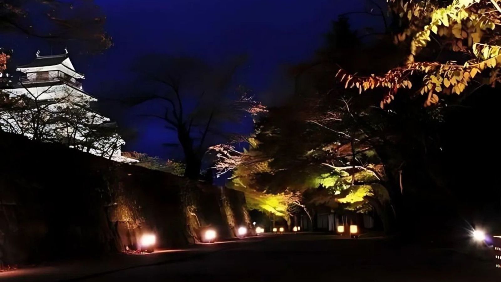 鶴ヶ城ライトアップ