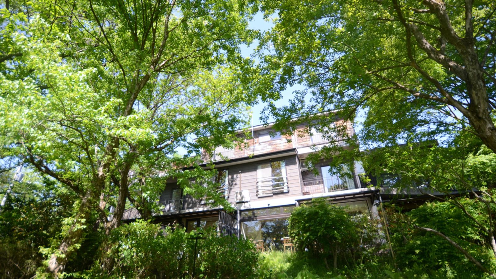 森につつまれたホテルです