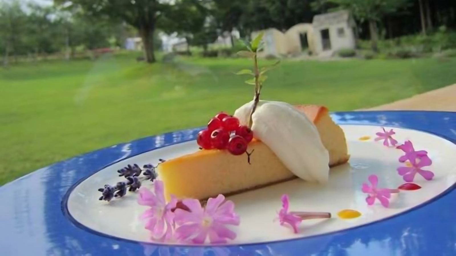 庭を眺めながらのデザートタイムは至福の時間です。