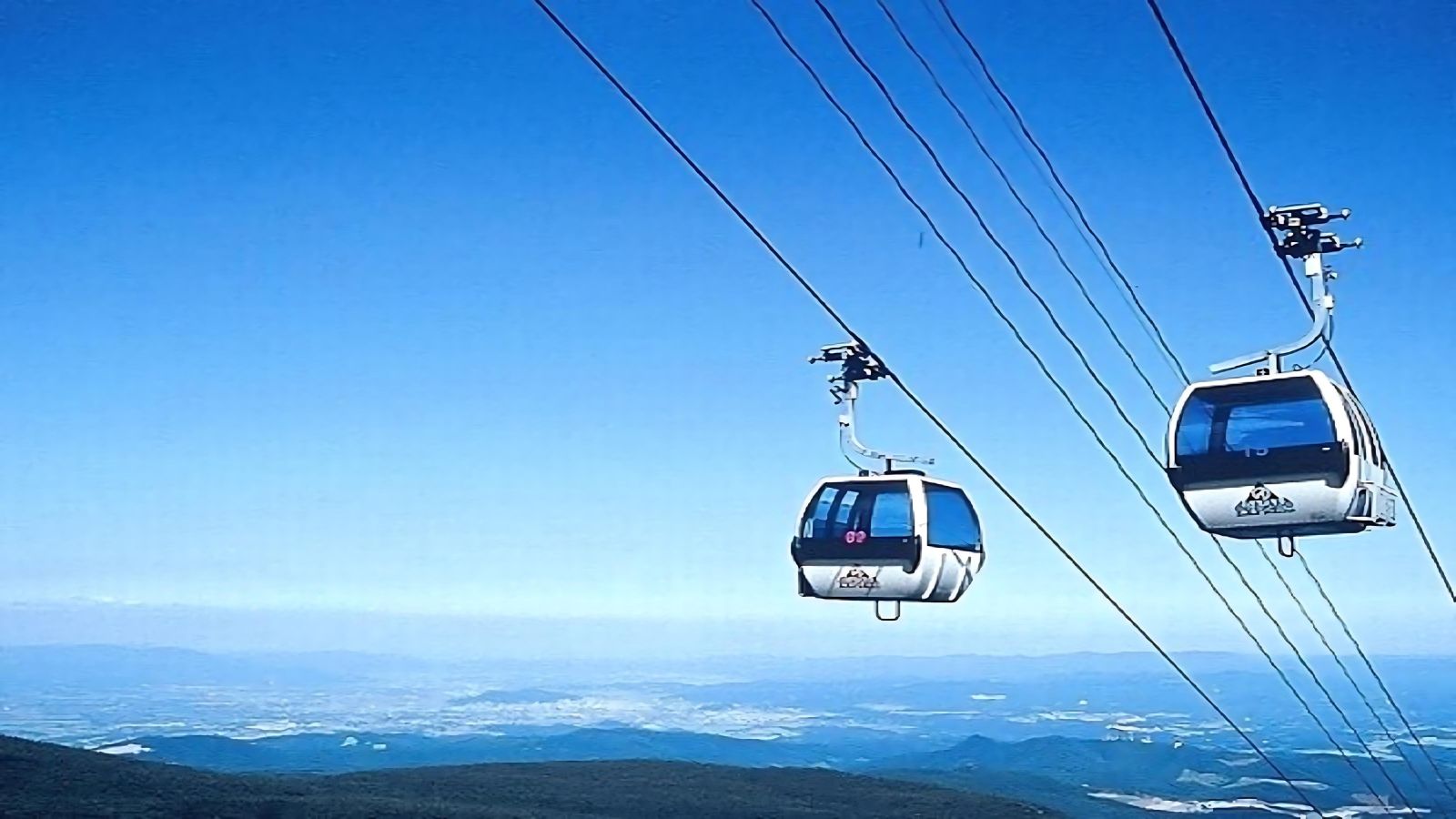 新緑の中を空中散歩で