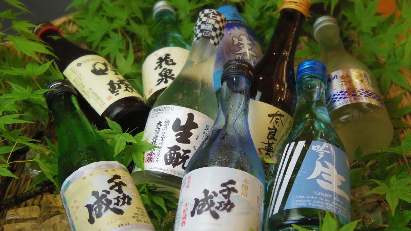 人気の地酒をご用意