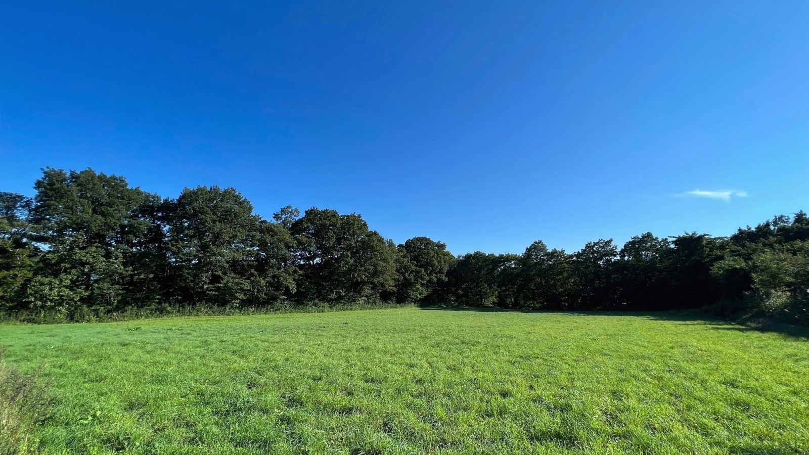 マイナスイオンたっぷりの中で森林浴