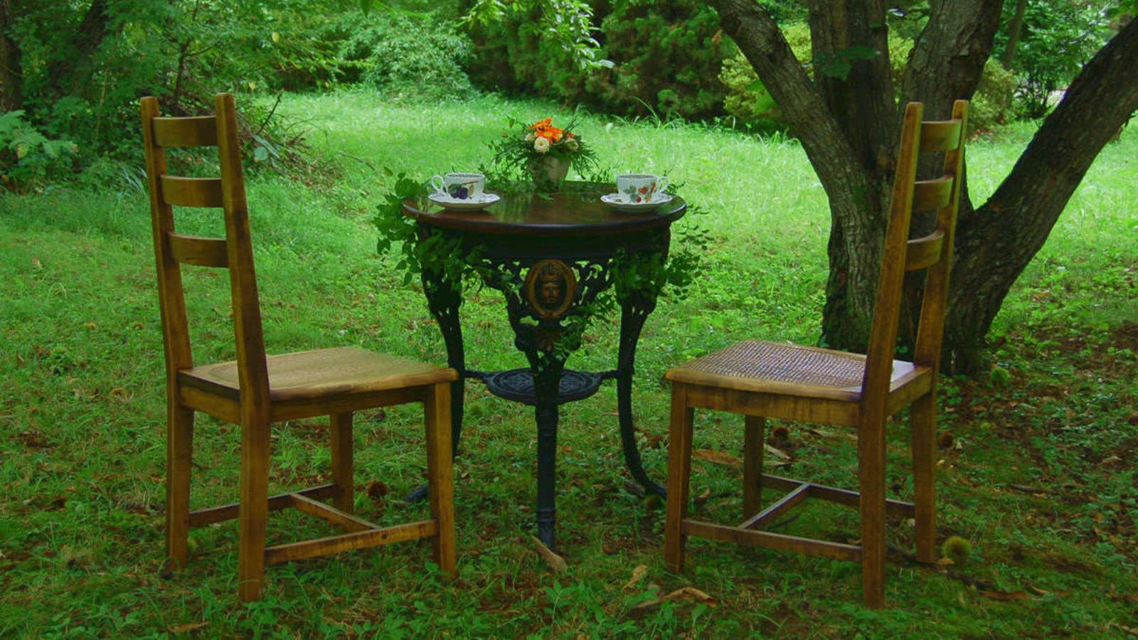 森に包まれた癒しの時間をお過ごし下さい