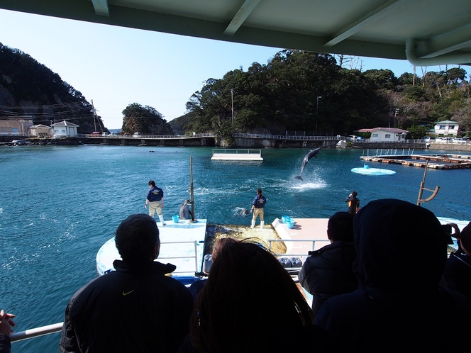 散策やデートスポットとしてもお勧めの下田海中水族館は車15分
