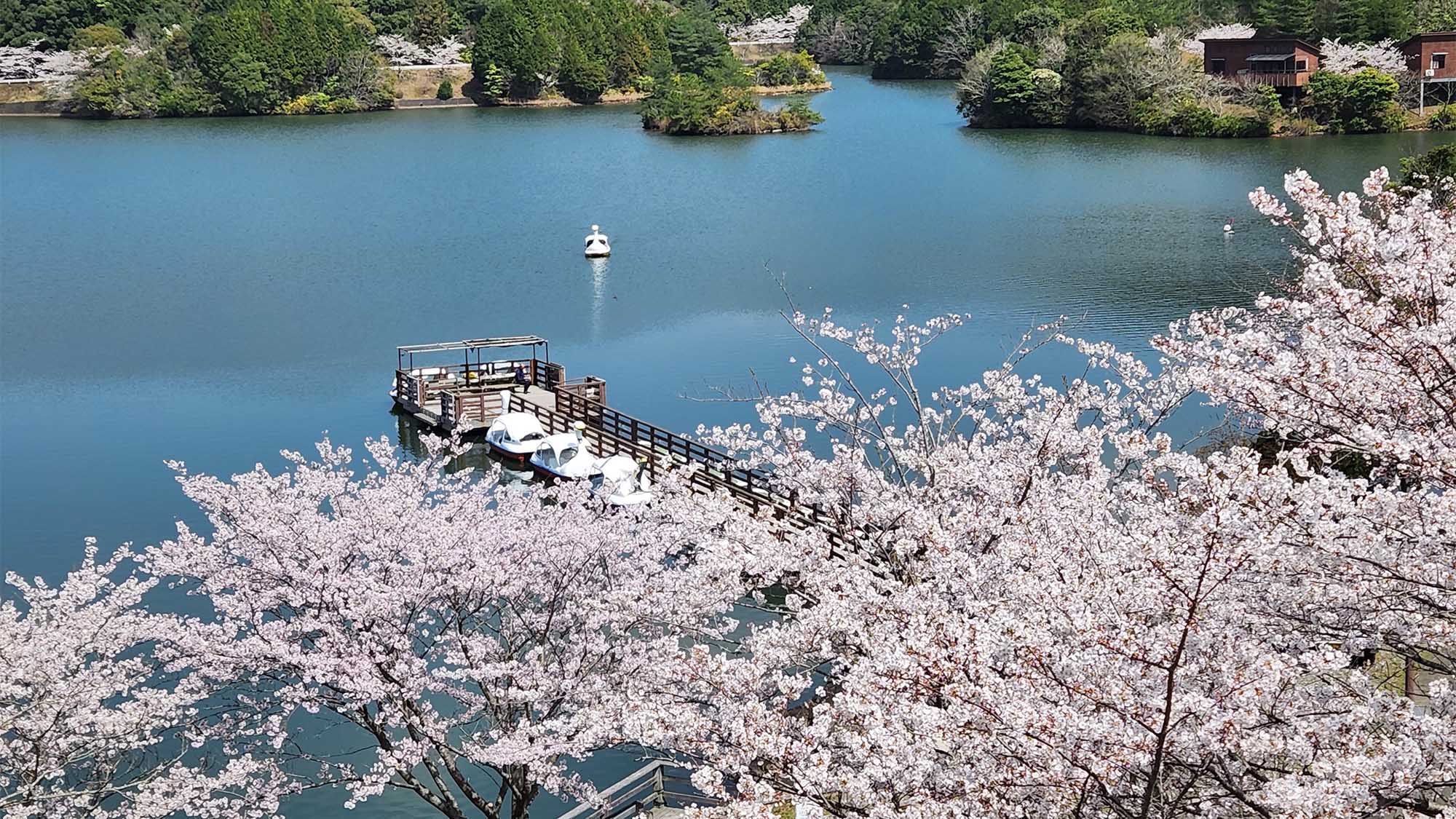 ・【伊佐ノ浦公園】春のアクティビティにもピッタリです　自然の豊かさを感じて非日常の体験を