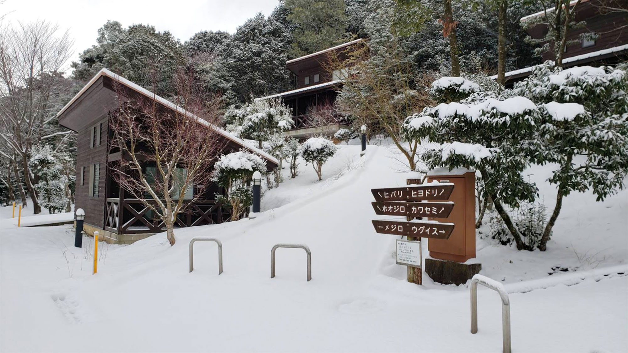 ・【バンガロー/冬】真っ白な雪が降り積もるバンガローで忘れられない思い出を