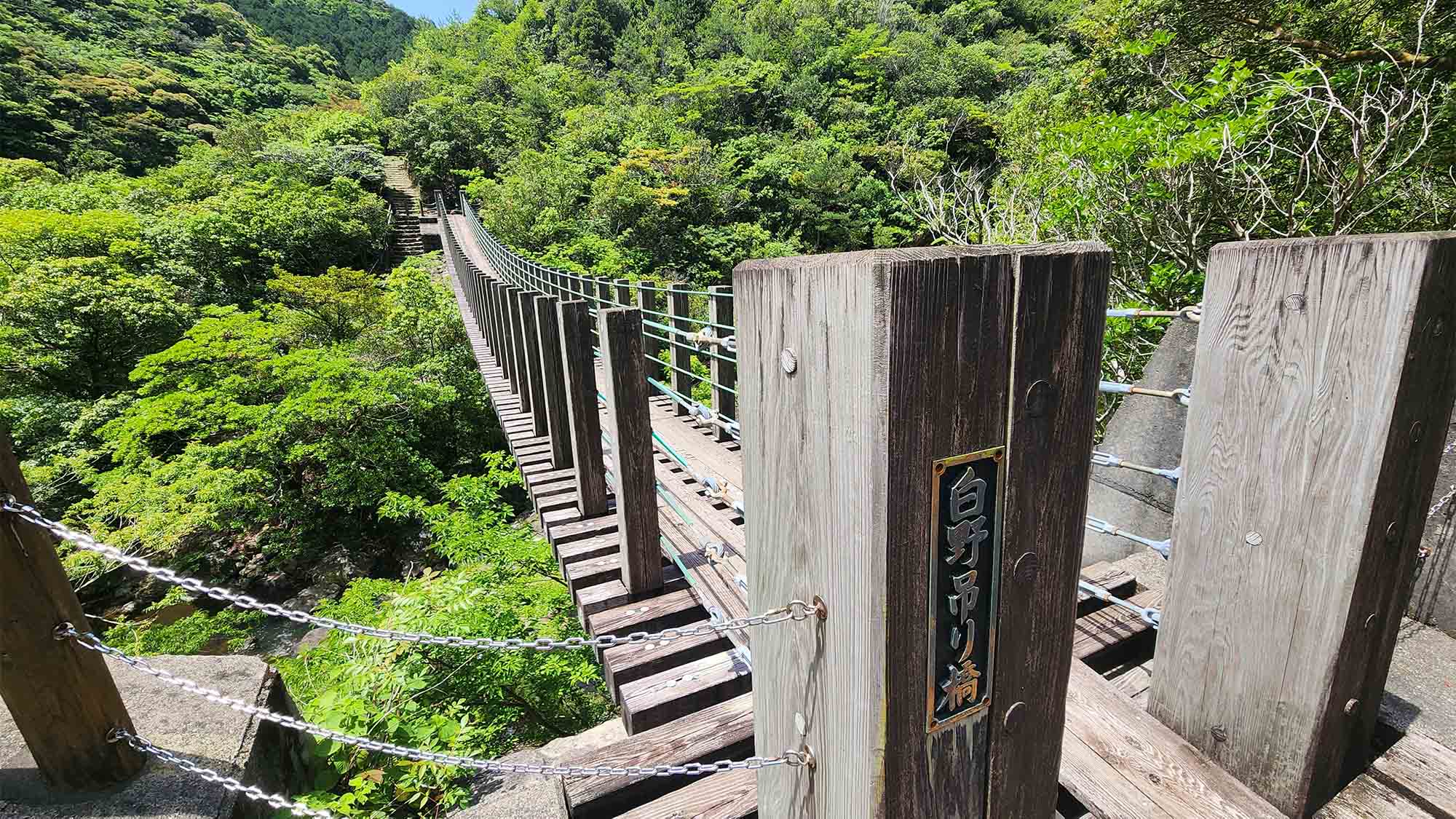 ・【伊佐ノ浦公園】スリルと絶景が待つ伊佐ノ浦公園の吊り橋　自然を全身で感じられる特別な場所