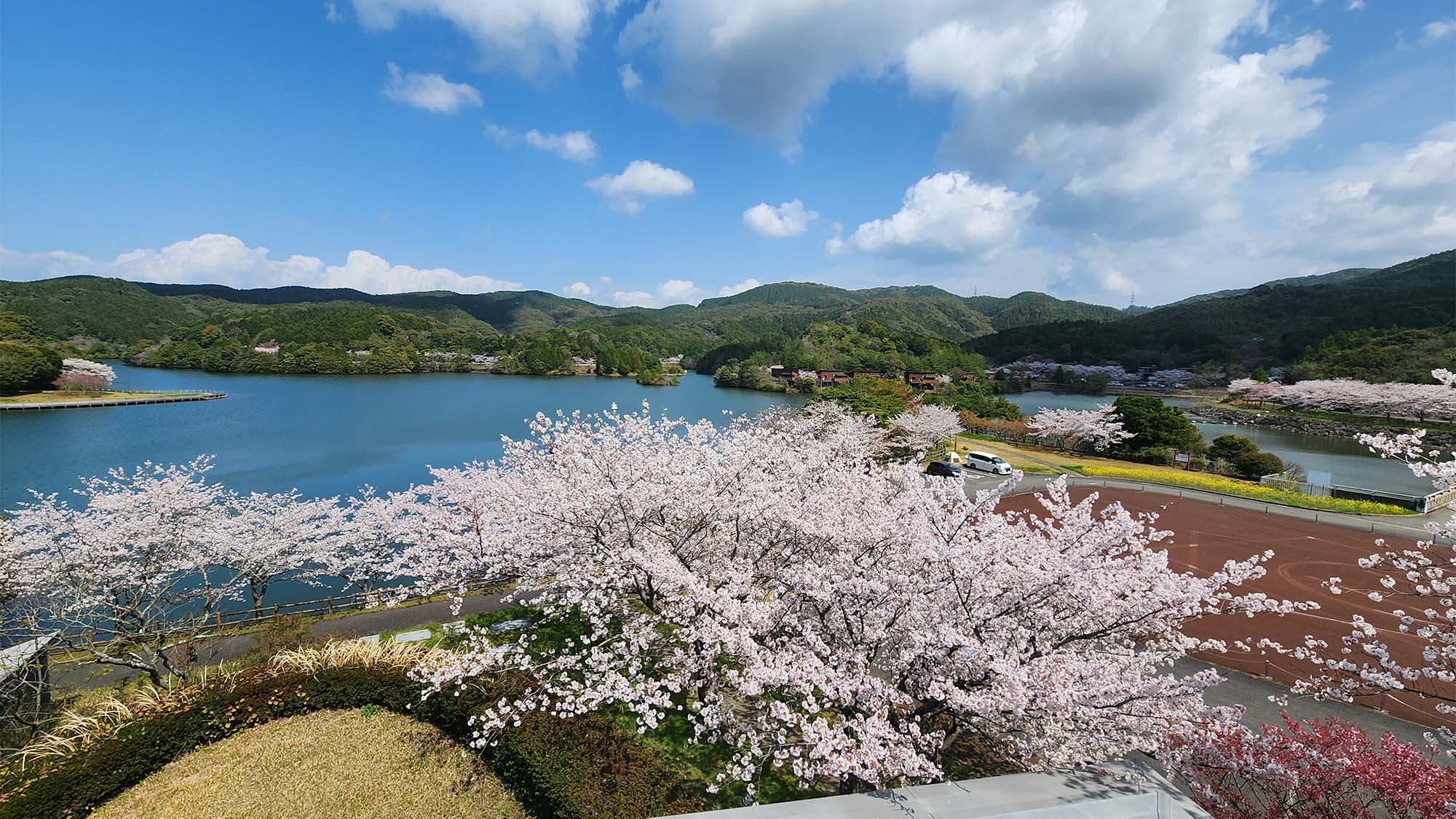 ・【伊佐ノ浦公園】春になると桜がピンクに彩る絶景がご覧いただけます