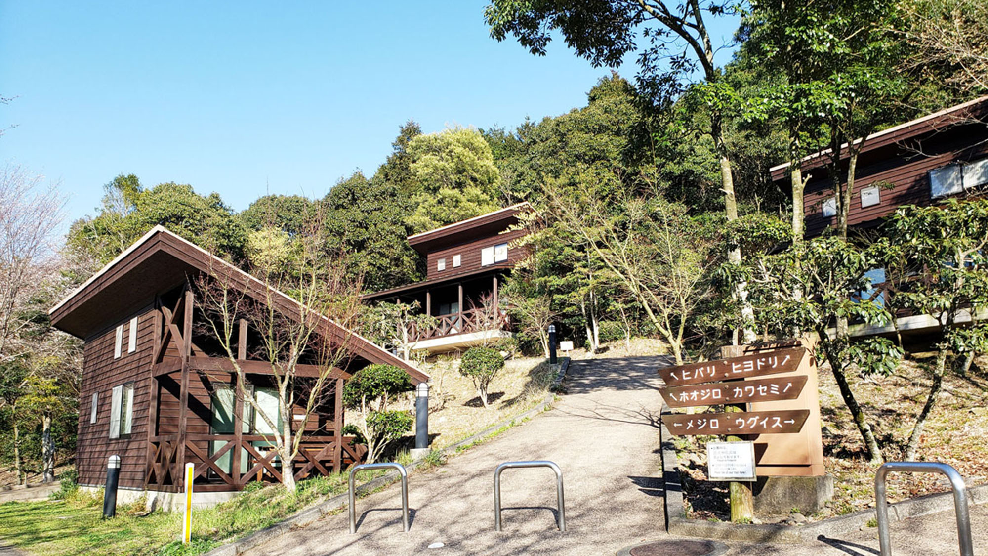 楽天トラベル 楽天市場