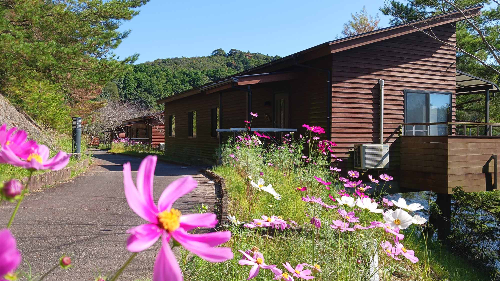 ・【コテージ/小道】四季折々の色を感じながら散策する　心ほぐれるひととき