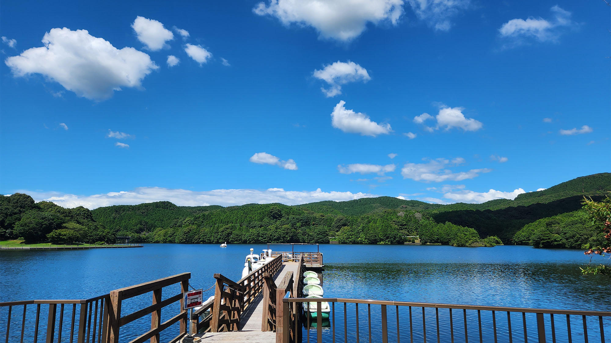 ・【伊佐ノ浦公園】穏やかな水面をのんびり漂う貸しボート　美しい景色を水上からも楽しめます