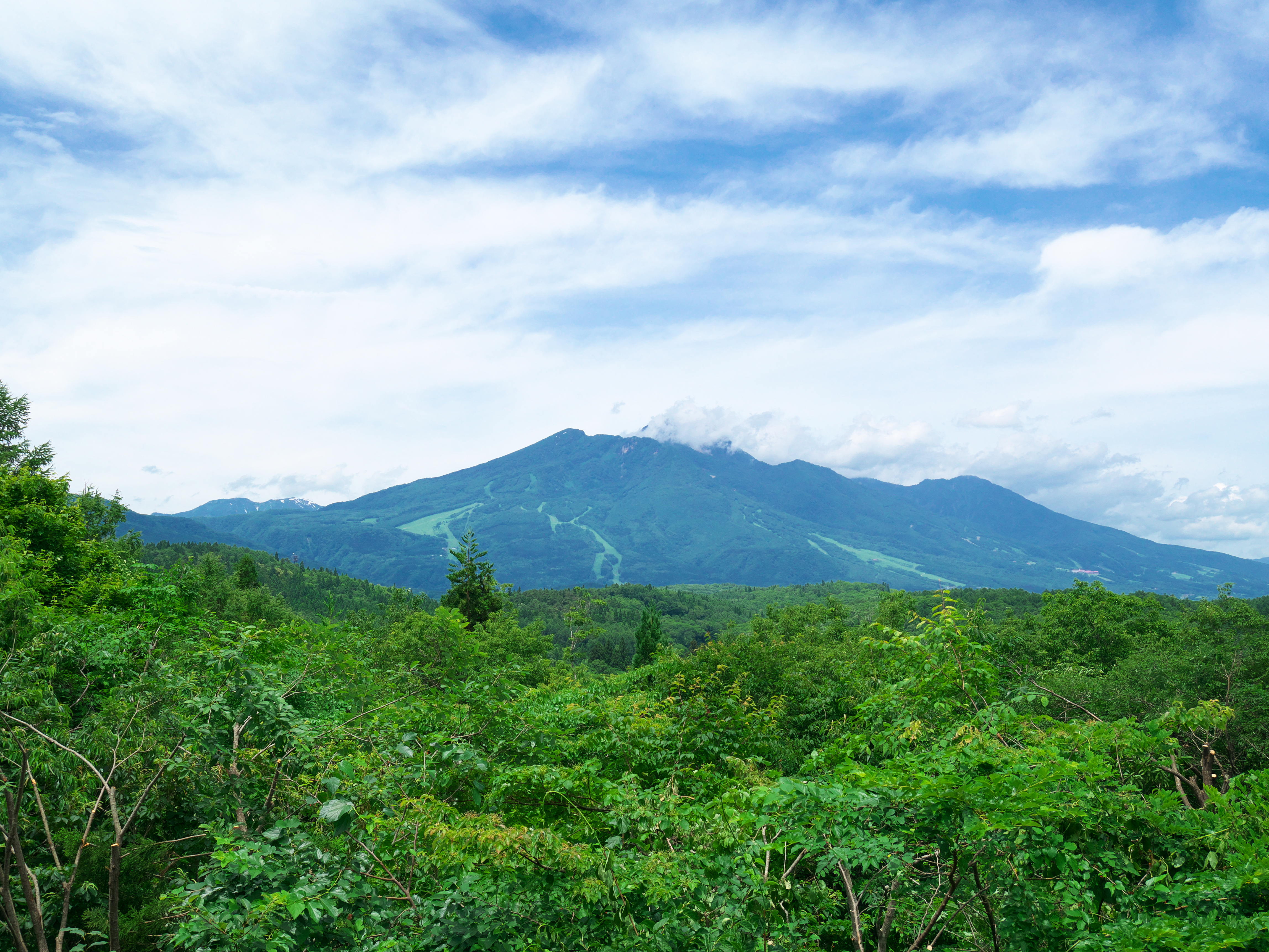 妙高山（春～夏）