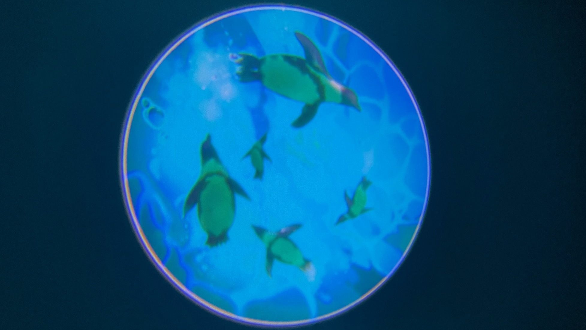 どうぶつえんルームプラン♪（朝食付き）