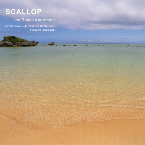 【Scallop】美しい沖縄の海を存分にお楽しみ下さい☆