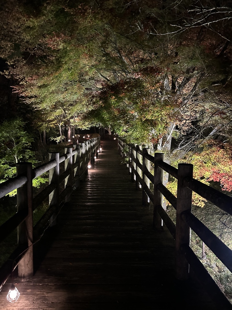 【飲物付プラン】期間限定◆夕焼けの渚紅葉祭り◆会場入り口まで徒歩５分「有料の竹あかりエリア無料に◎」